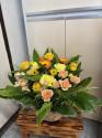 �t�H�g�M�������[�摜