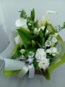 �t�H�g�M�������[�摜