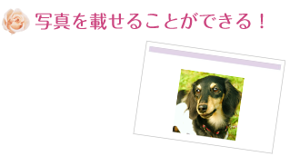 �ʐ^���ڂ��邱�Ƃ��ł���I