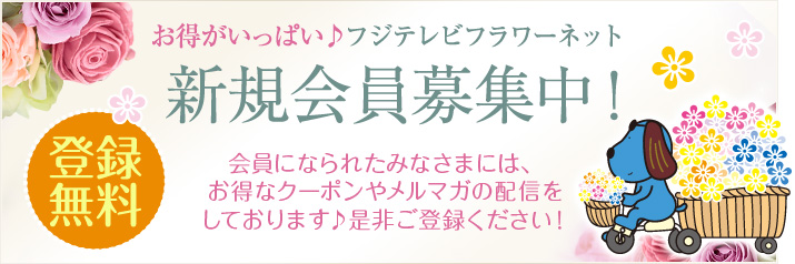 �����������ς� �t�W�e���r�t�����[�l�b�g �V�K�����W���I